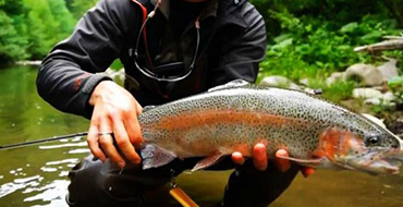 forel zakarpatie 2 e1470307538160
