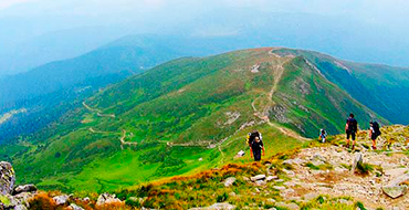 goverla last steps